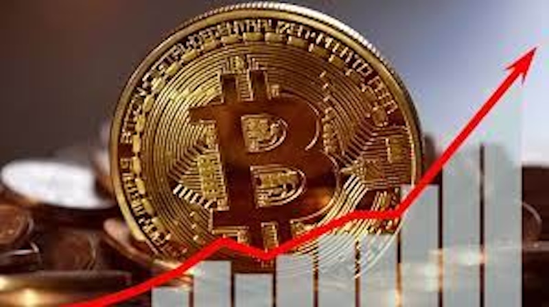 比特币（btc）跌破关键支撑位？新手该如何应对市场波动 - php中文网